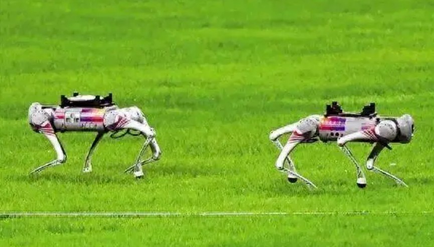 微信图片_20231009094444_2.jpg 微信图片_20231009094444_2.jpg