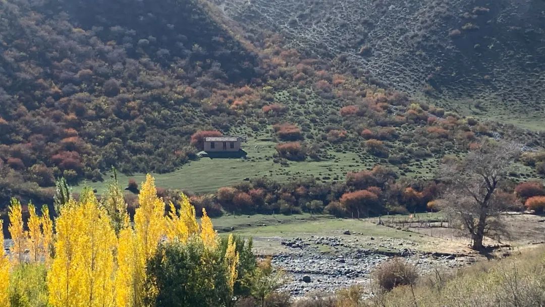 茶旅融合：茶文化活态景观与非遗沉浸体验